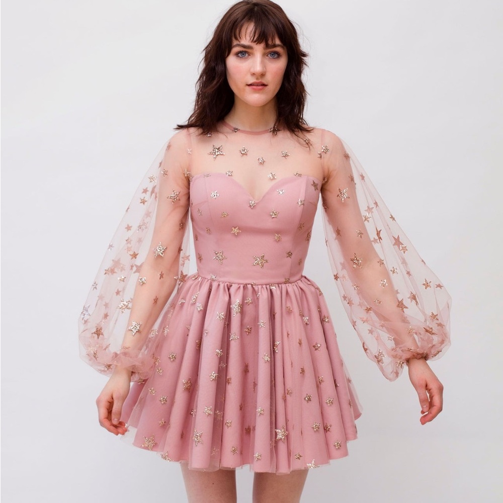 Lirika Matoshi Teuta Pink Glitter Star Sweetheart Tulle Dress worn once - Picture 5 of 12